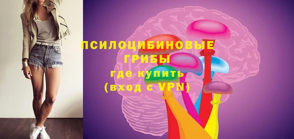 эйфоретик Вязьма