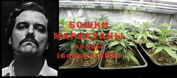 молекула духа Володарск
